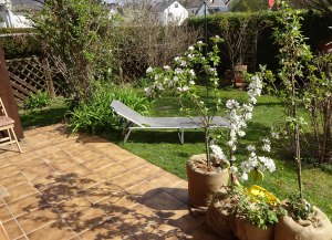 Garten Liege im Rasen Obstbäume blühen