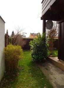 Zwergbambus Kirschlorbeer Terrasse Durchgang Stufe